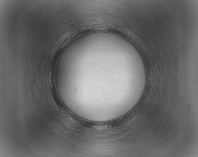 X0000061140693200511241804