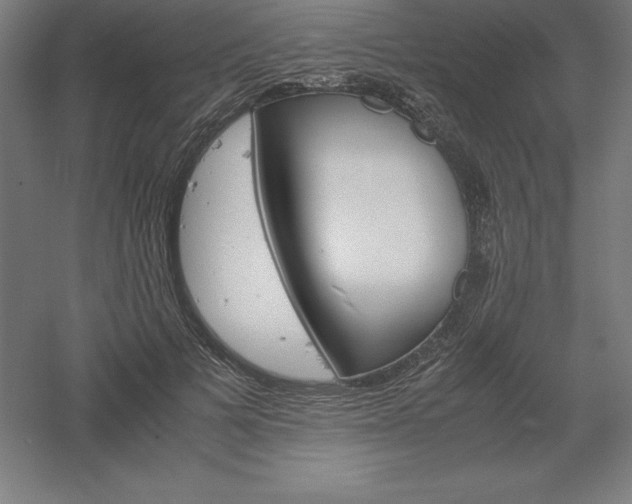 X0000061140697200511241804