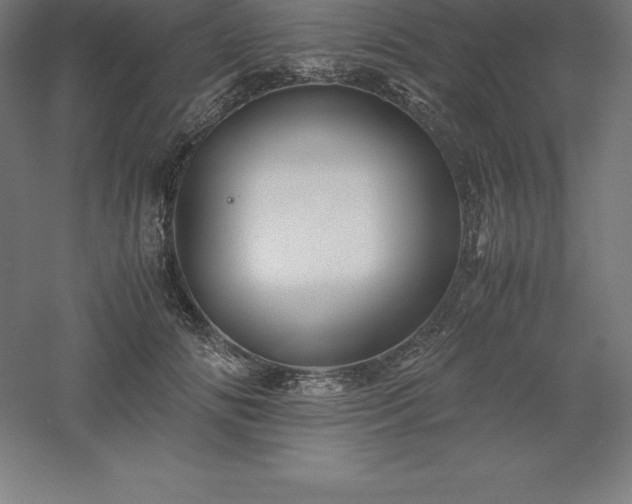 X0000061140702200511241804