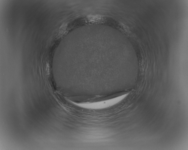 X0000061140703200511241804