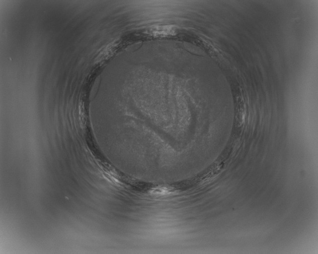 X0000061140704200511241804