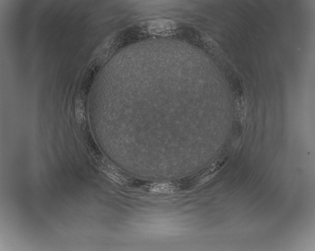 X0000061140705200511241804