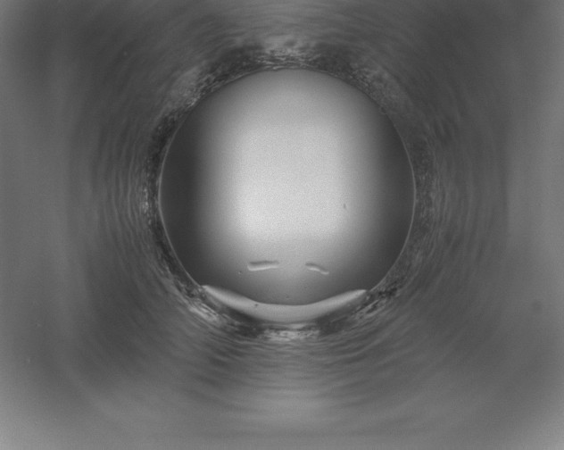 X0000061140706200511241804