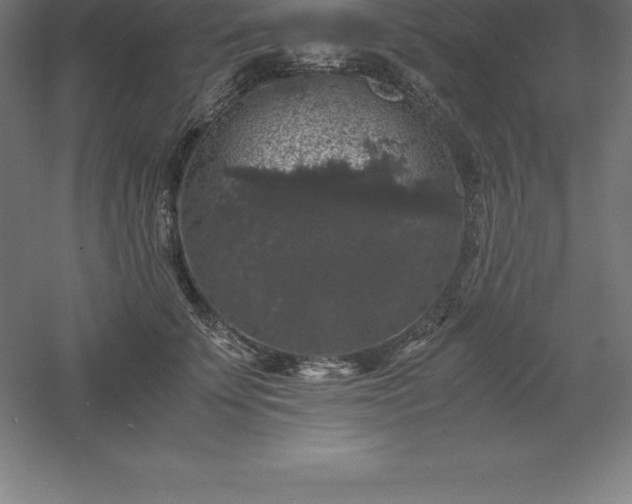 X0000061140707200511241804