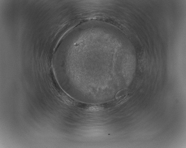 X0000061140708200511241804