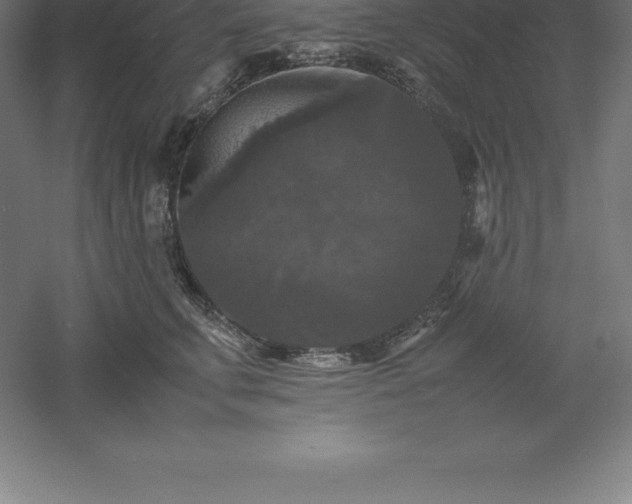 X0000061140711200511241804