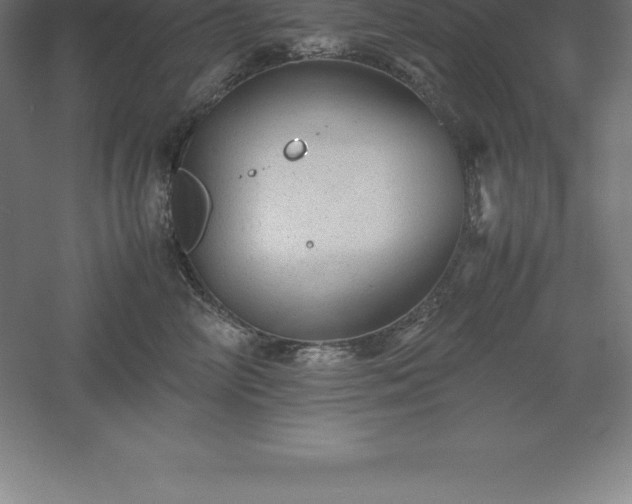 X0000061140714200511241804