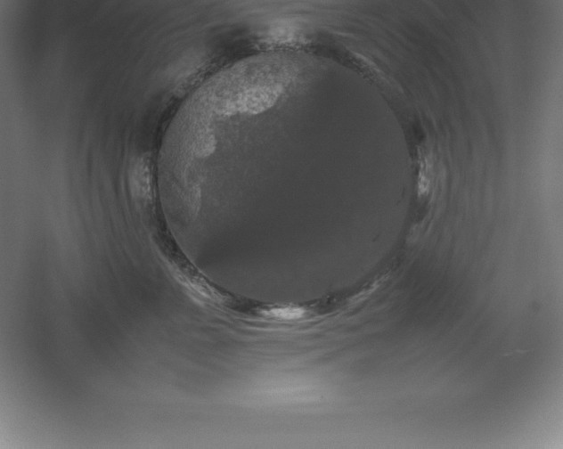 X0000061140715200511241804