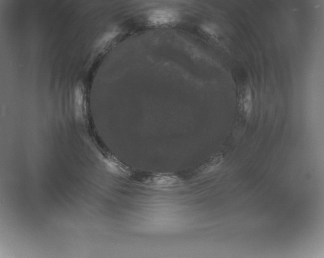 X0000061140716200511241804