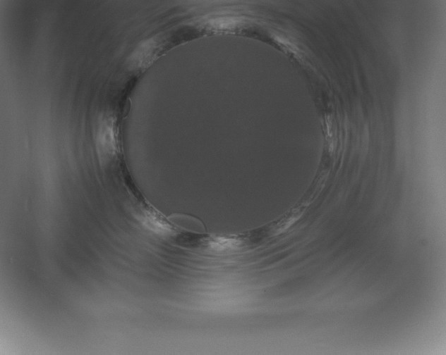 X0000061140718200511241804