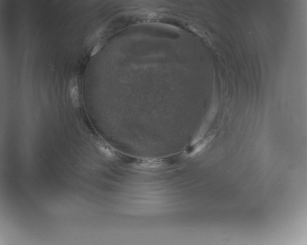 X0000061140720200511241804