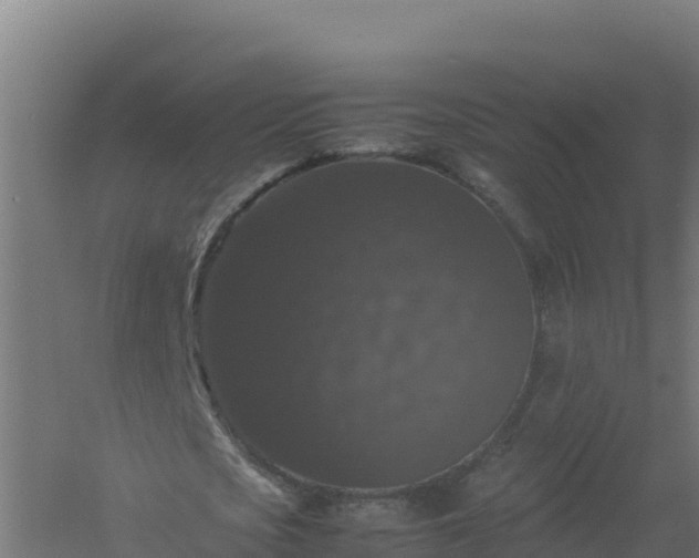 X0000061140721200511241803