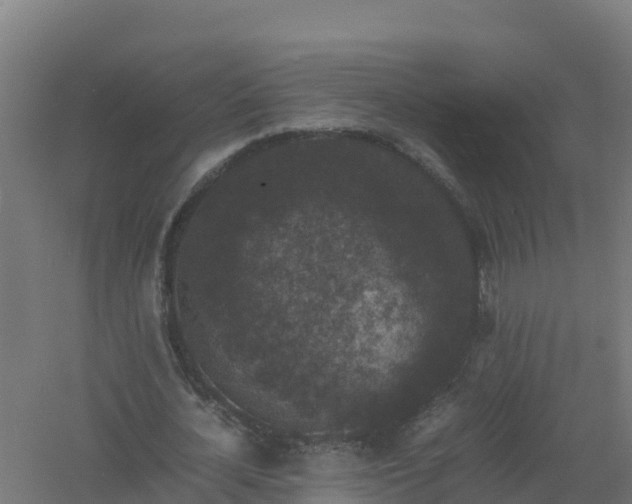 X0000061140724200511241803