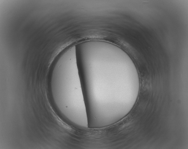 X0000061140725200511241803