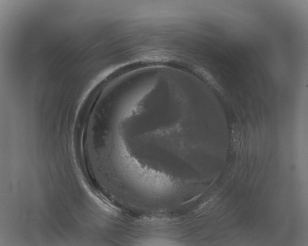 X0000061140726200511241803