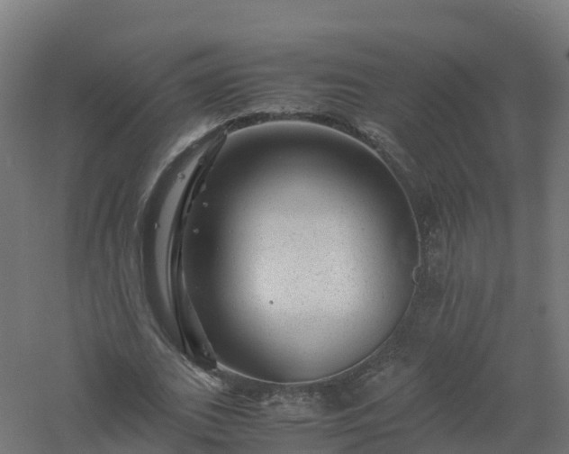 X0000061140727200511241803