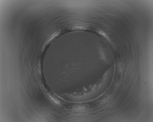 X0000061140729200511241803