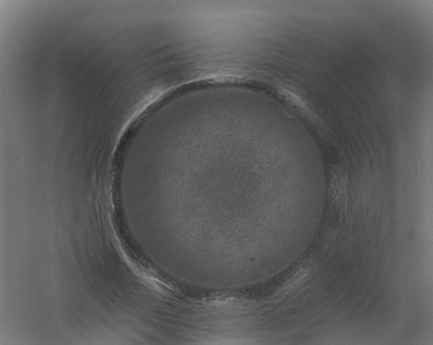 X0000061140730200511241803