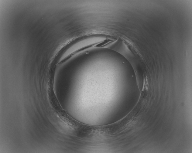 X0000061140732200511241803