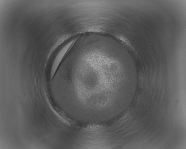 X0000061140734200511241803