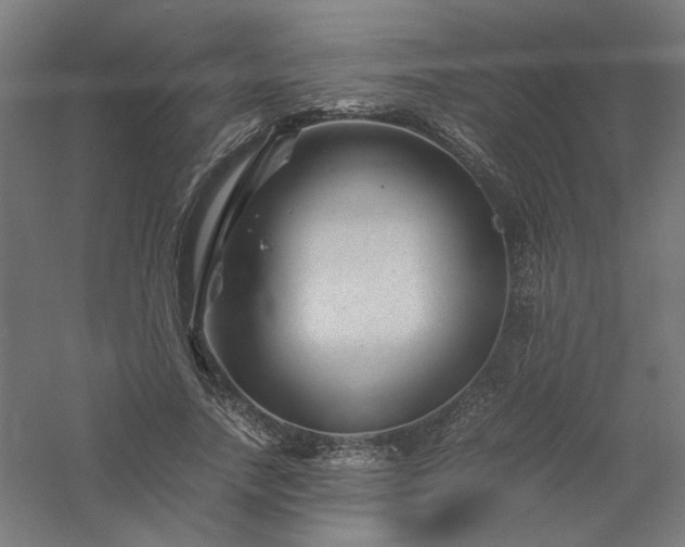 X0000061140738200511241803