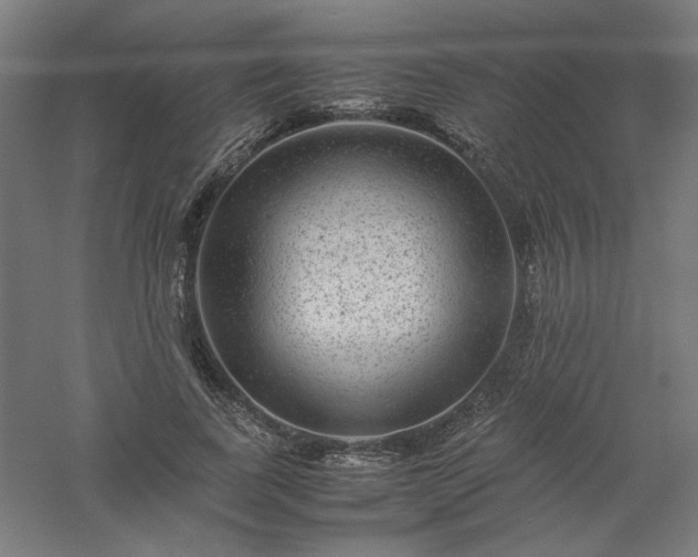 X0000061140739200511241803