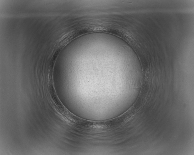 X0000061140741200511241803