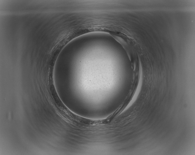 X0000061140742200511241803