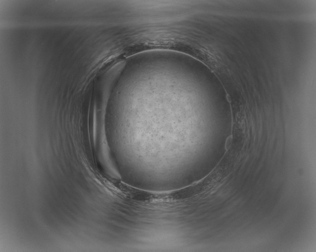 X0000061140744200511241803