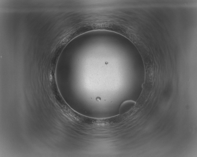 X0000061140746200511241803