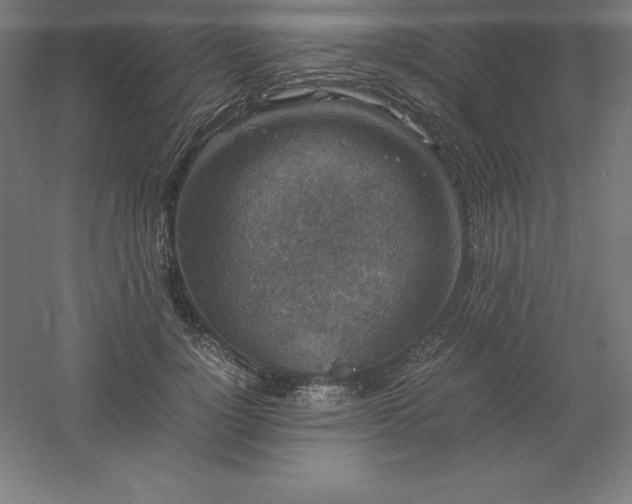 X0000061140748200511241803