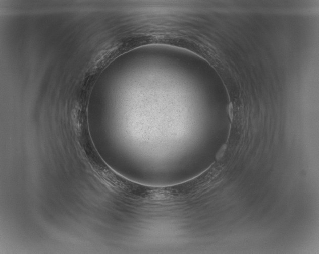 X0000061140750200511241803