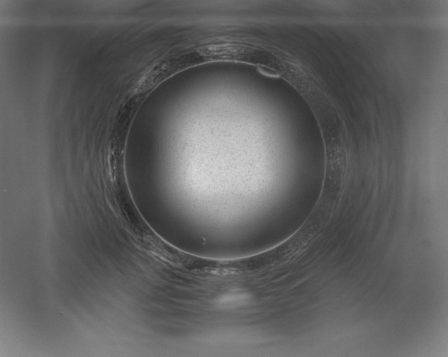 X0000061140751200511241803