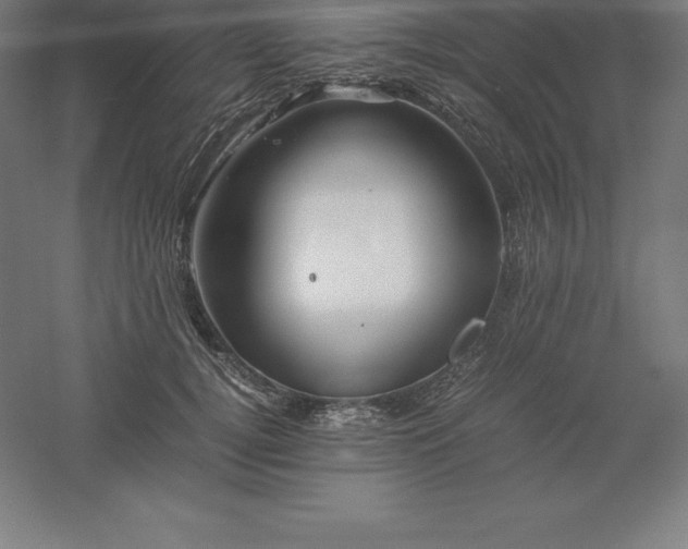 X0000061140752200511241803