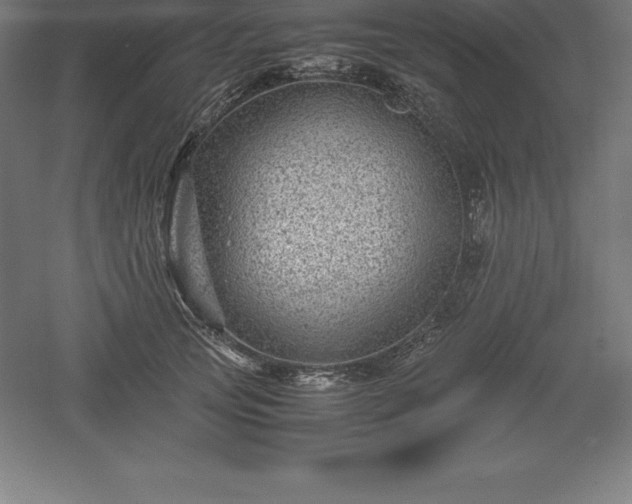 X0000061140753200511241803