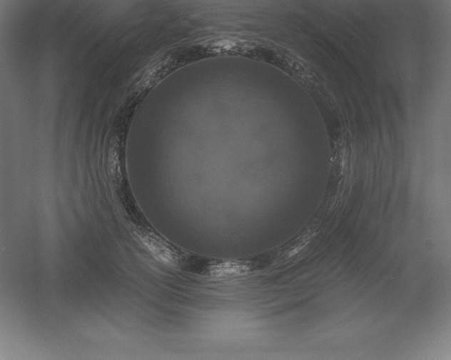 X0000061140754200511241803