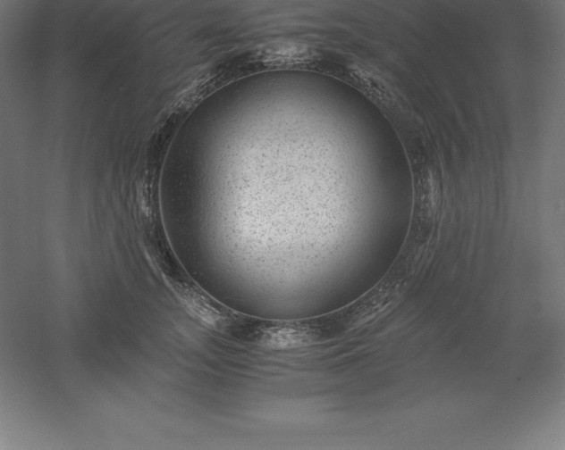 X0000061140755200511241803