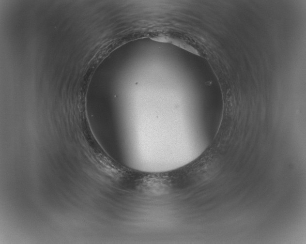 X0000061140756200511241803