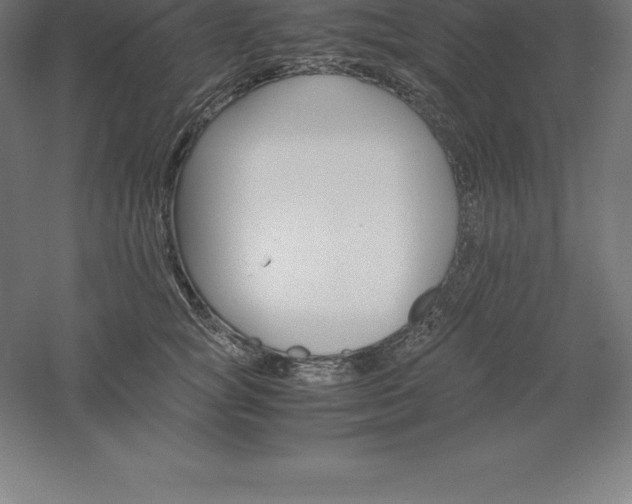 X0000061140757200511241803