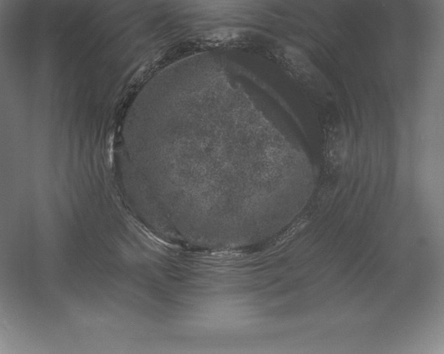 X0000061140758200511241803