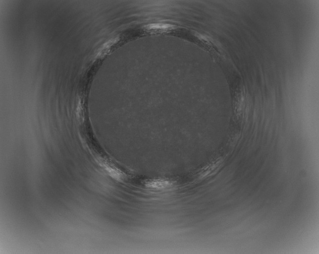 X0000061140759200511241803