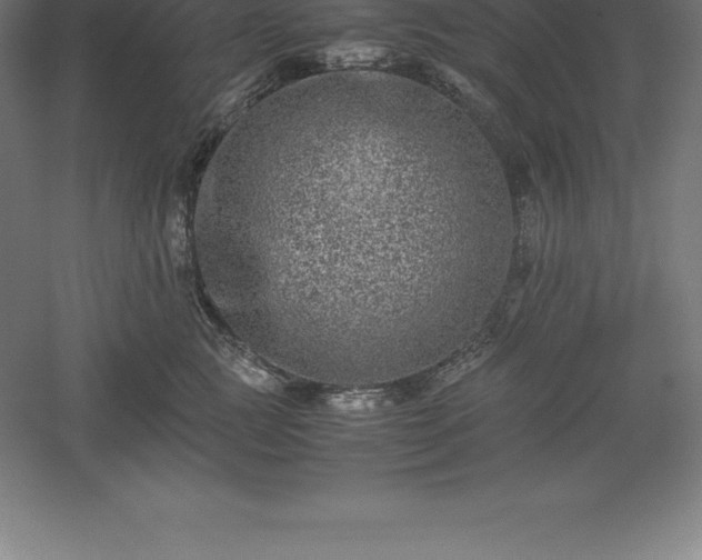 X0000061140761200511241803