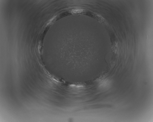 X0000061140763200511241803