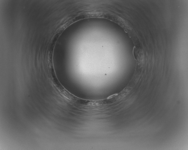 X0000061140764200511241803