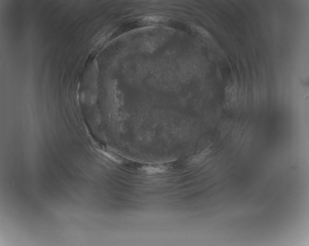 X0000061140765200511241803