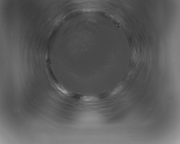 X0000061140766200511241803