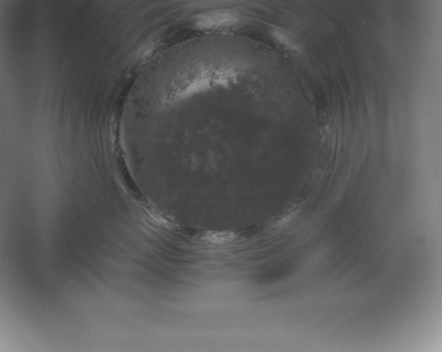 X0000061140767200511241804