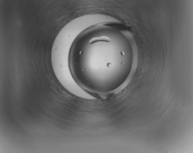 X0000061140768200511241804