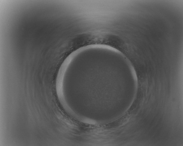 X0000061140769200511241803