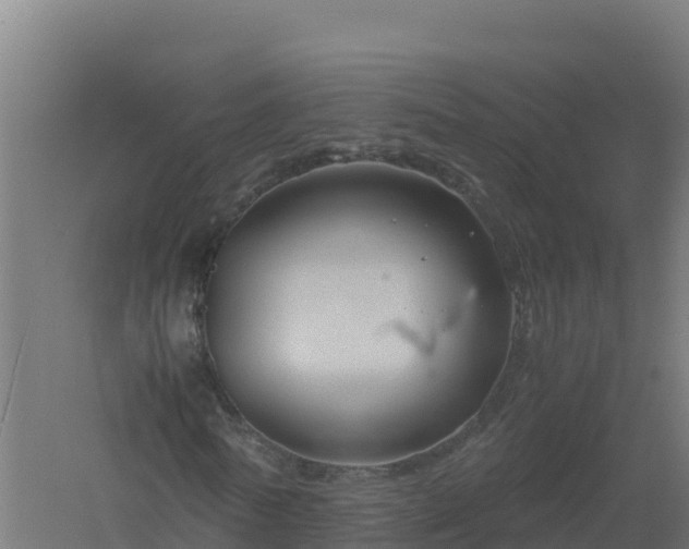 X0000061140770200511241803